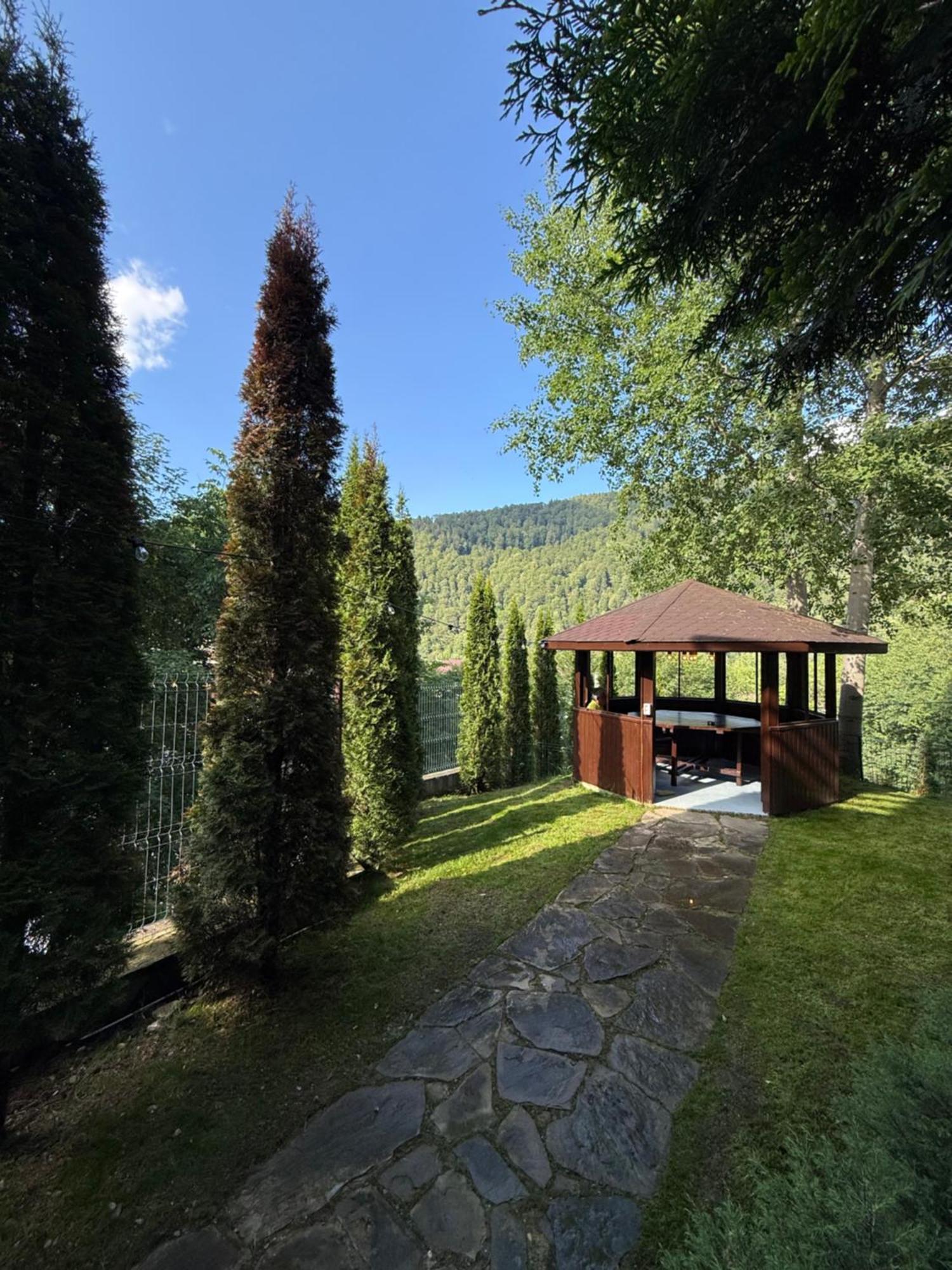 Case de vacanță Dialogue With Private Garden & Bbq Sinaia