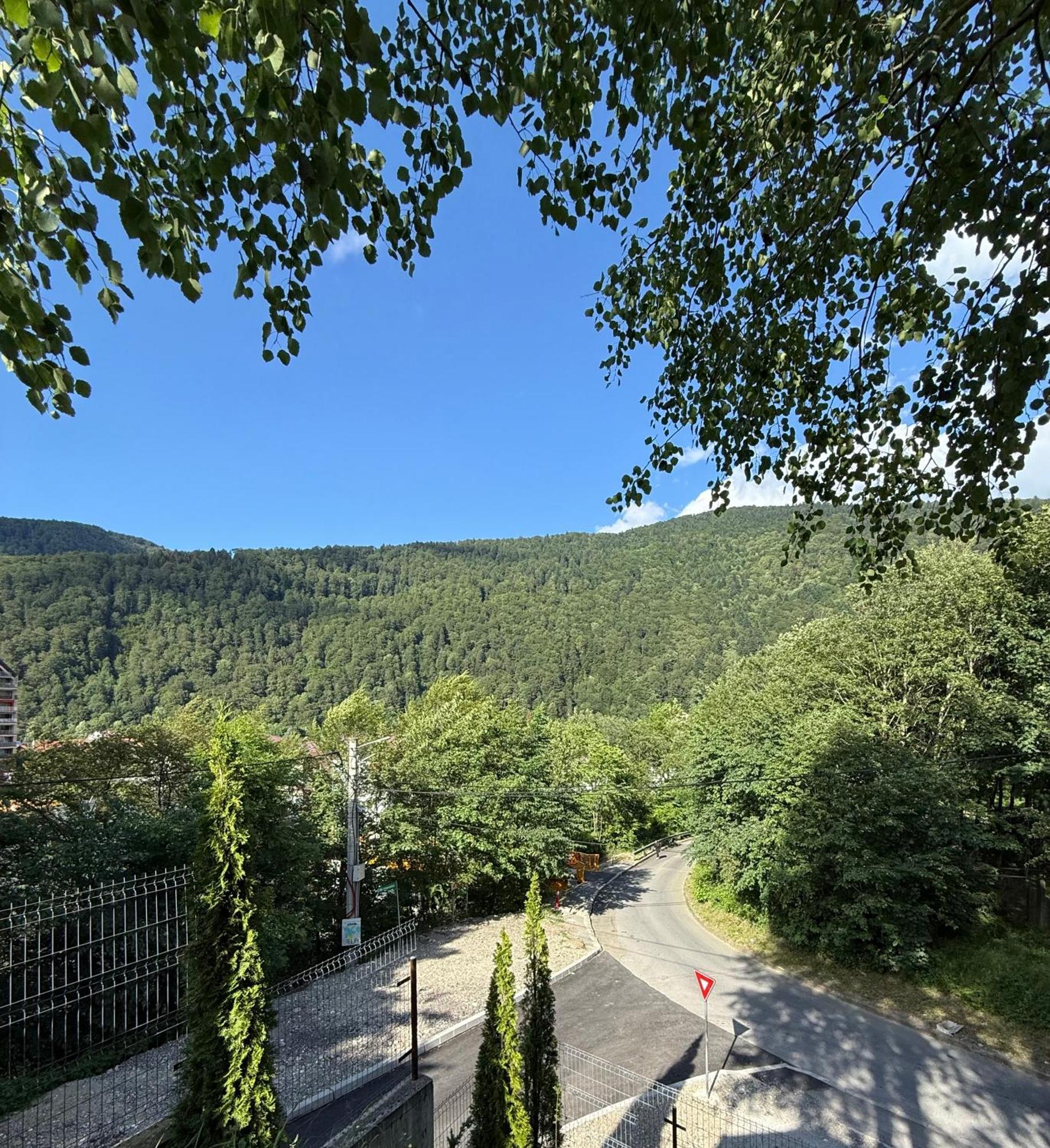 Dialogue With Private Garden & Bbq Sinaia